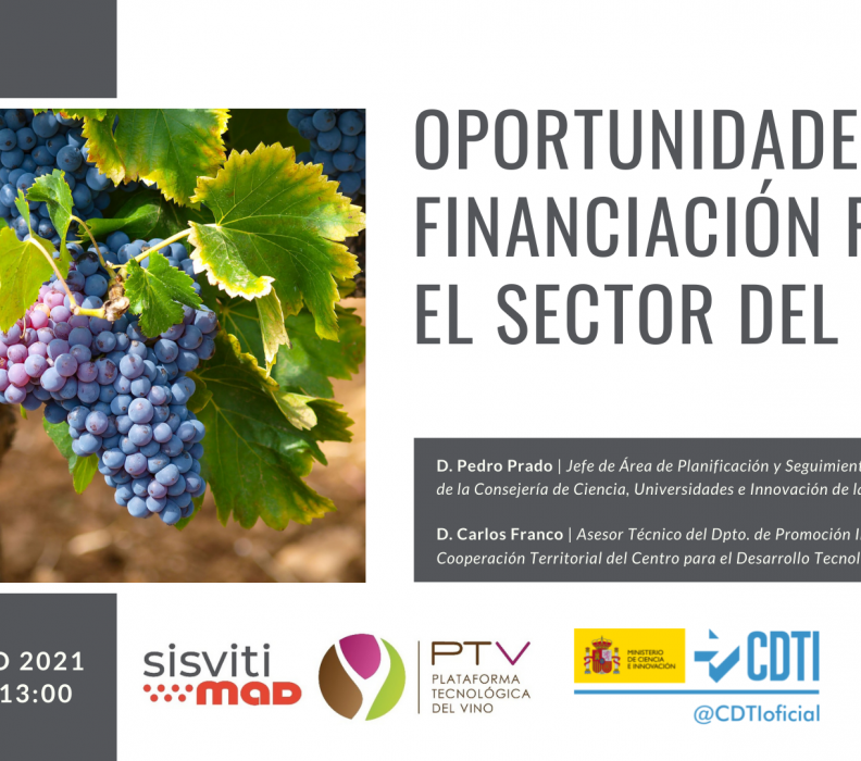 Webinar «Oportunidades de financiación para el sector del vino»