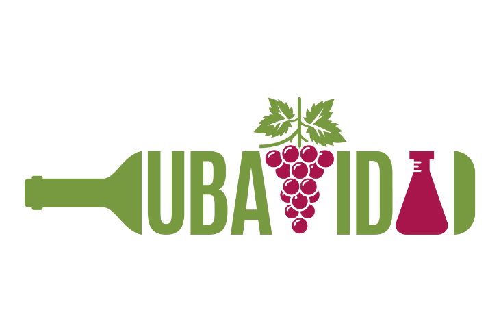 UBAVIDA, el proyecto de innovación que desarrollará estrategias sostenibles para la obtención de Uva de Baja concentración de Azúcares y VIno Des-Alcoholizado